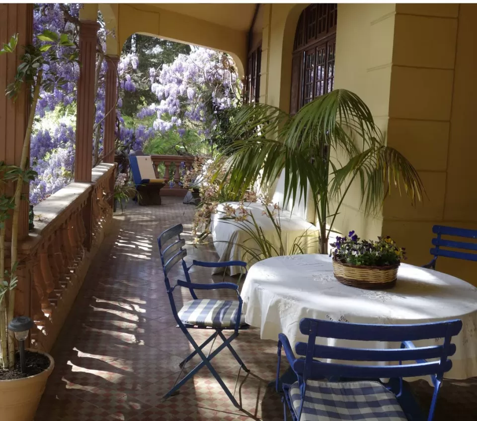Casa Bambú