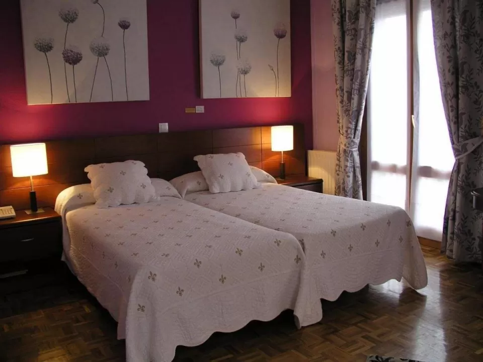 Double or Twin Room