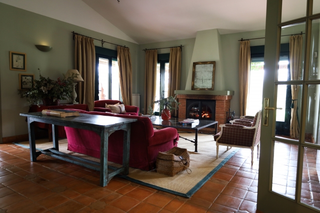 Salon con chimenea