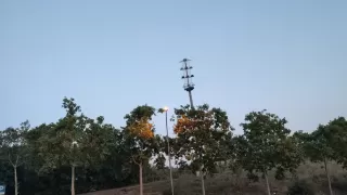 Delia Rosa Cartagena dans son séjour à Castell de Orpí- Can Bosch 6231_3