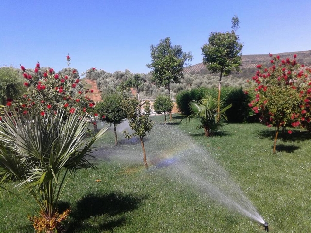 Amplios jardines exteriores
