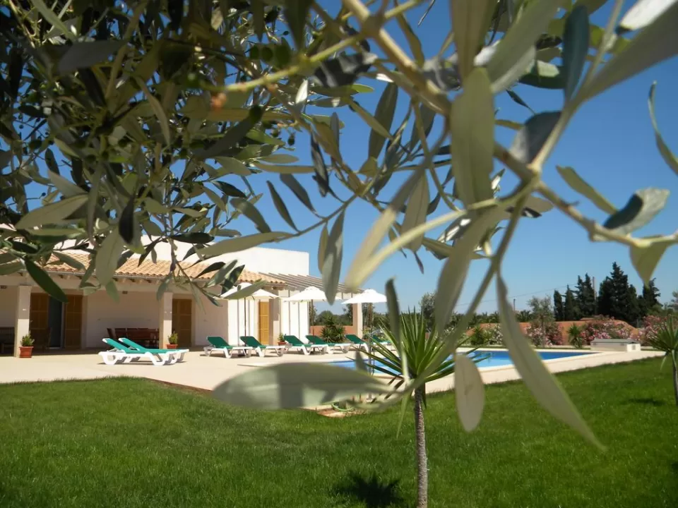 Finca Son Virgili