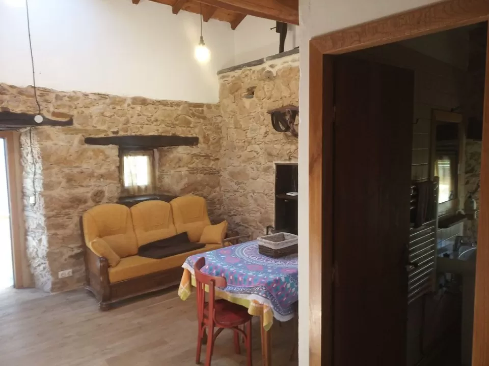 Casa David