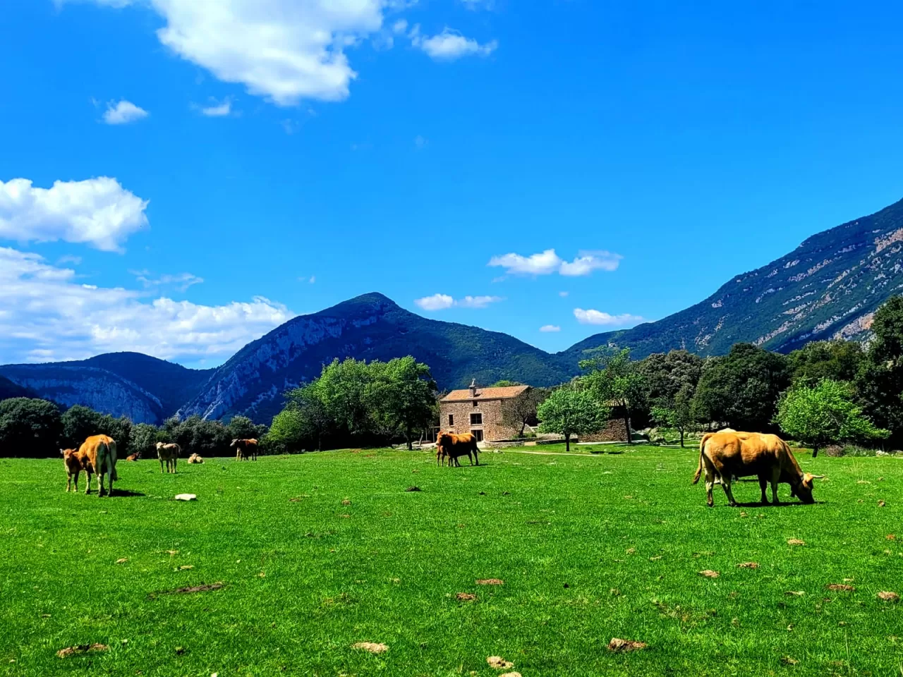 La Plana
