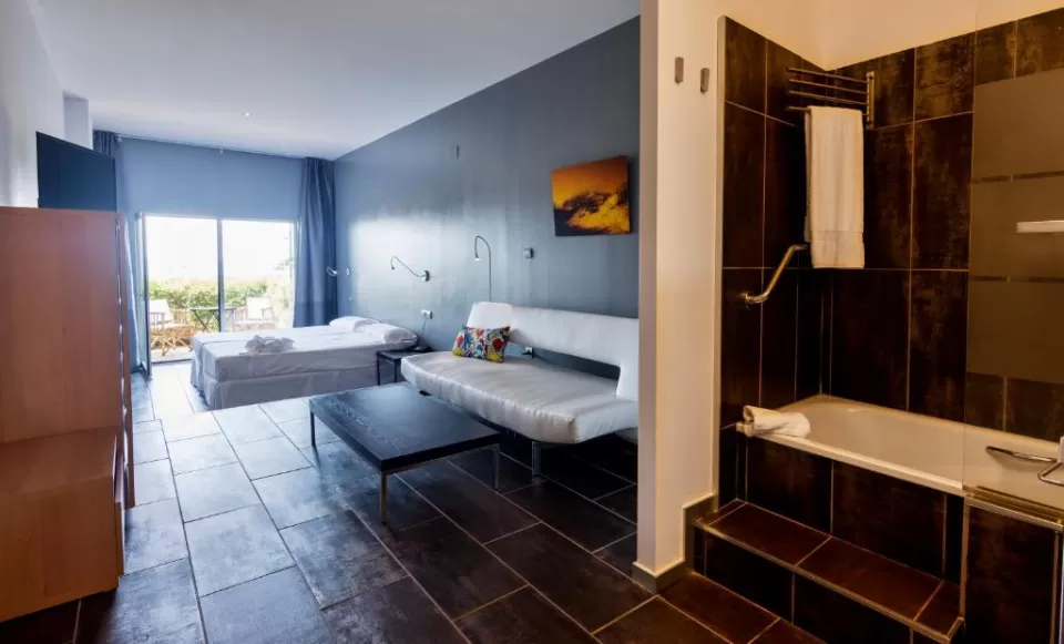 Superior double room 101