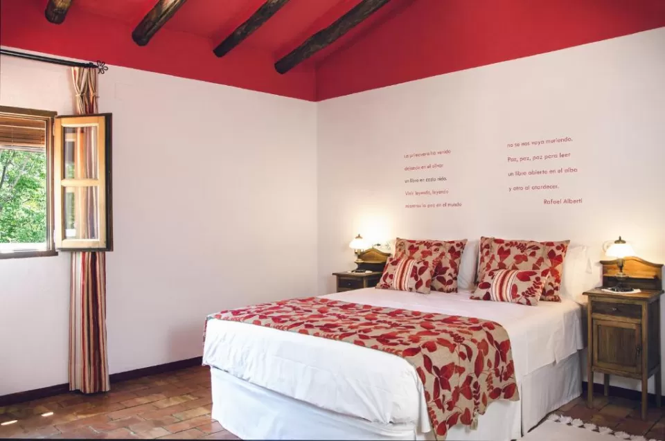 Habitación junior