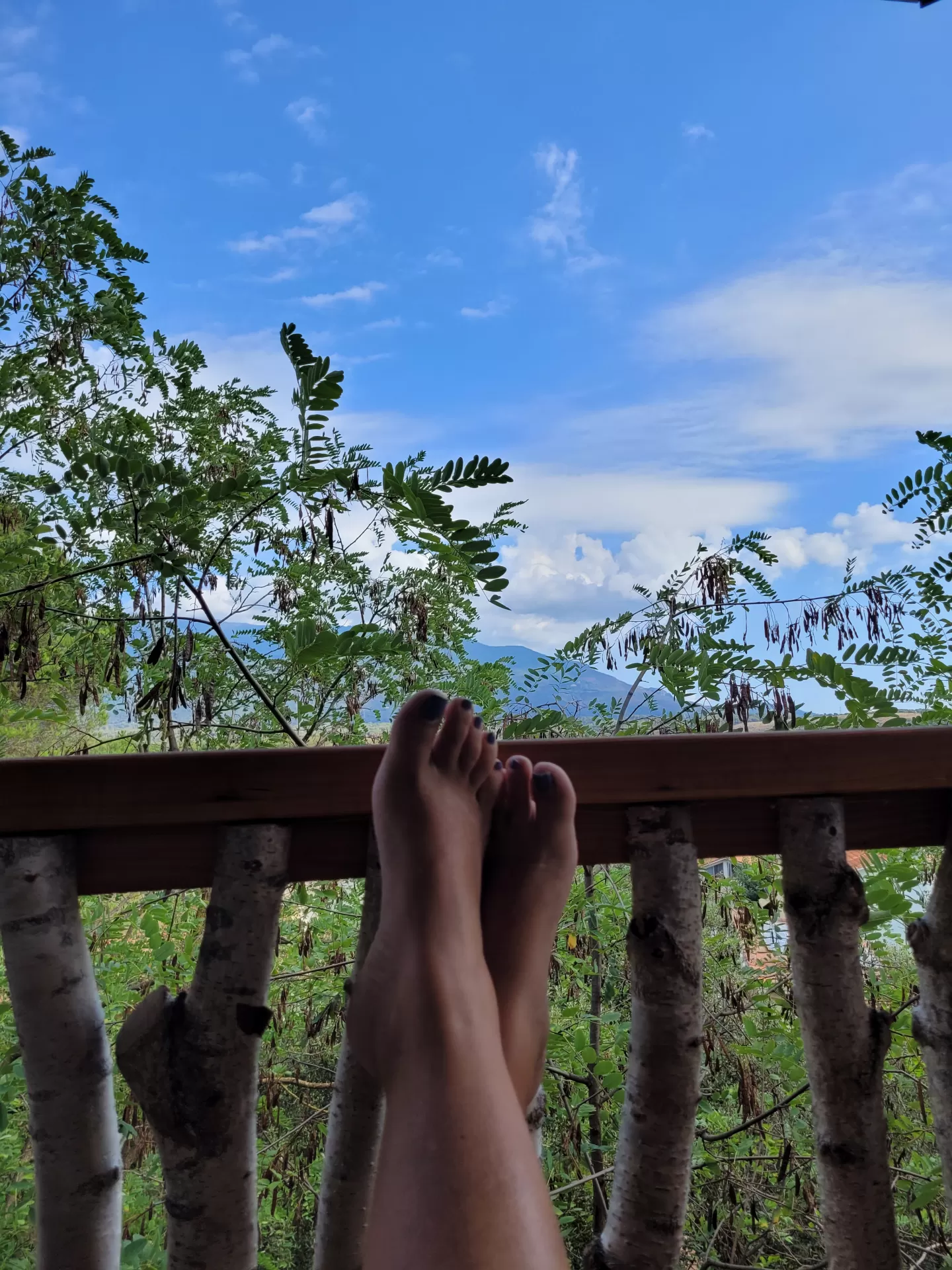 Sandra  in your stay in Les Suites - Cabañas Palautordera 3437_1
