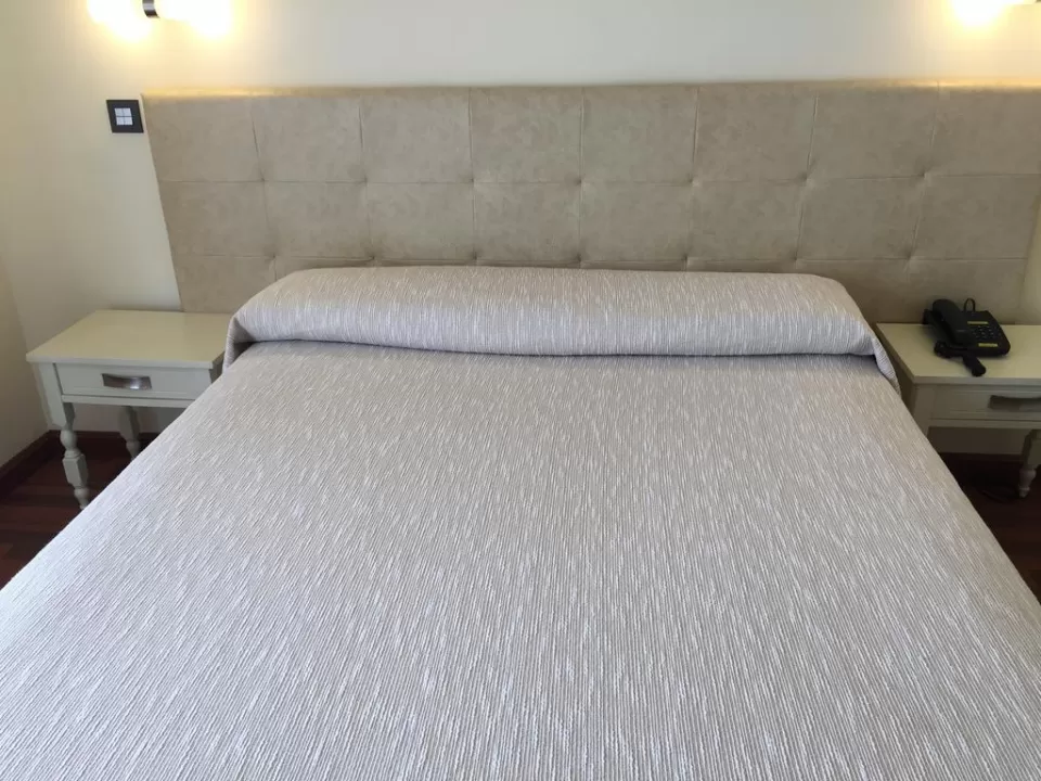 Hotel Madrileño 