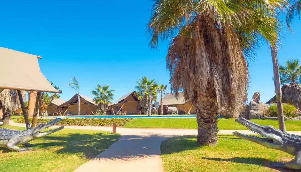 El Delfín Verde- Glamping y parcelas