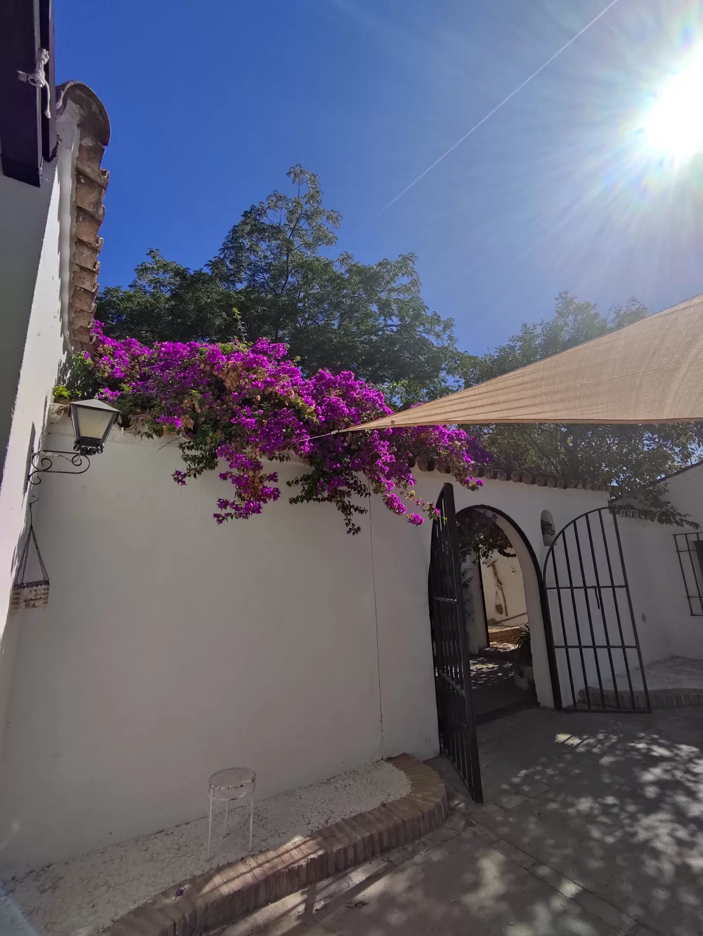 Elisabeth Vázquez Serrano in your stay in Casa Rural Azahar 3467_1