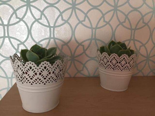 Detalles de la casa con plantas
