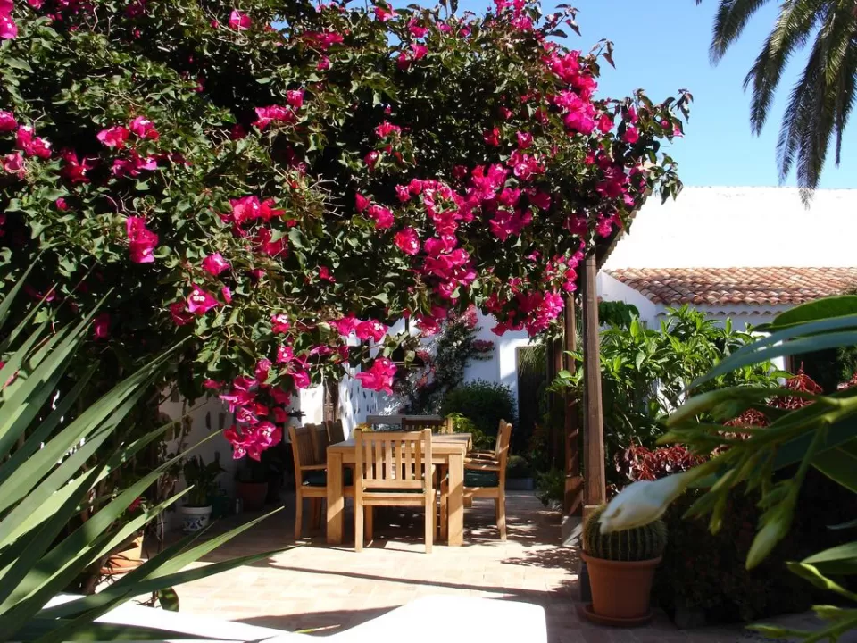 Casa Rural Palomar Fataga