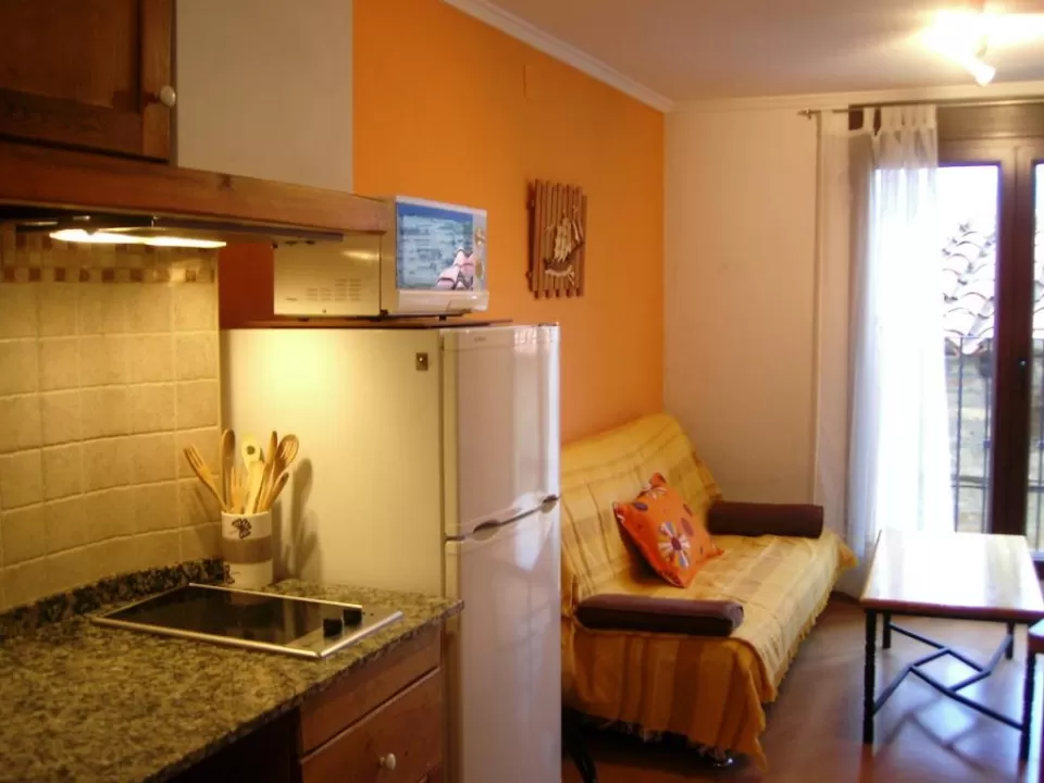 Apartamento de 1 dormitorio (2 adultos)