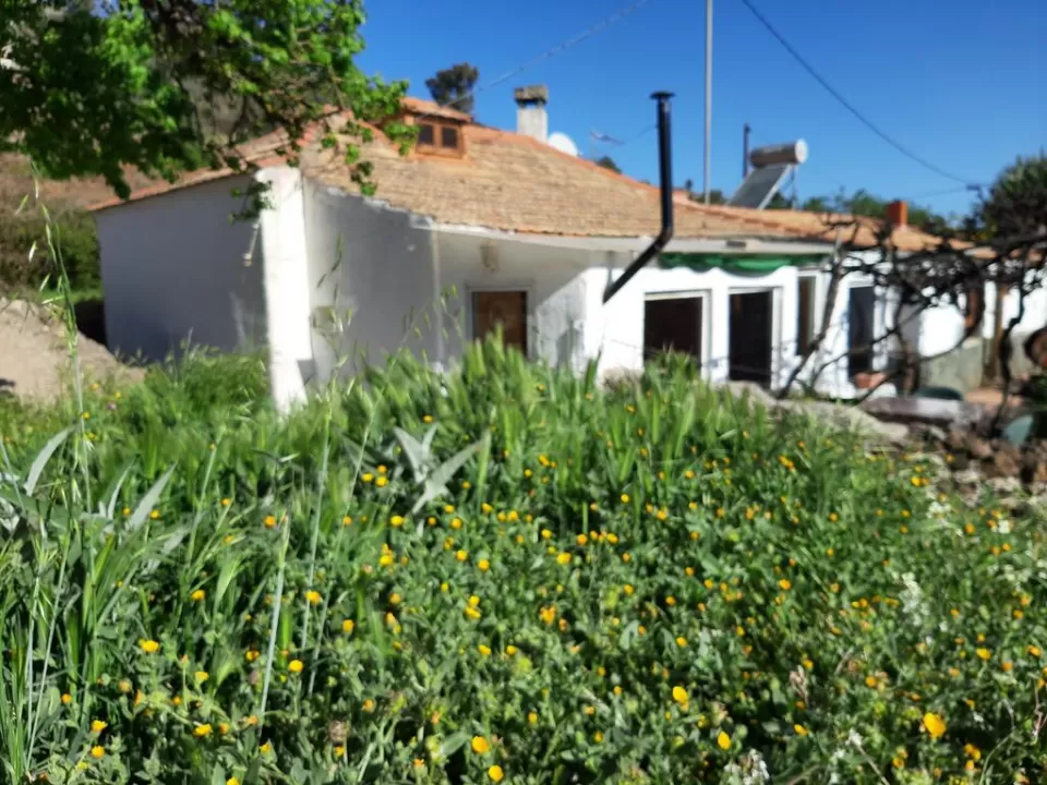Finca Ecocielo