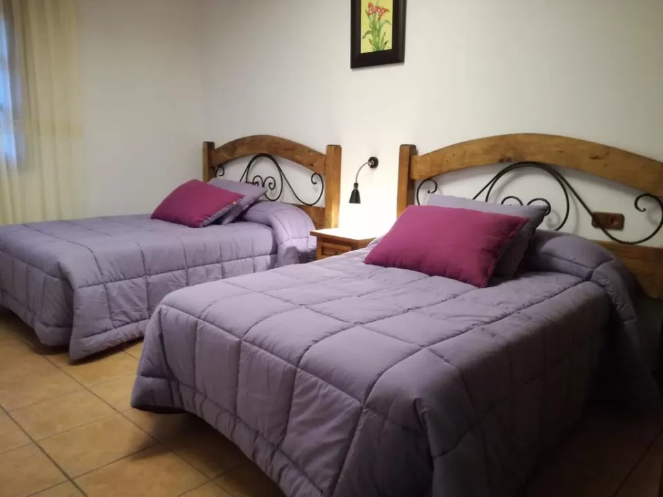 Castaño 102