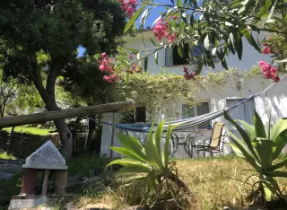 Casa Simba