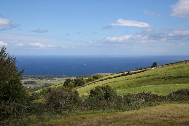 Vistas desde el alojamiento