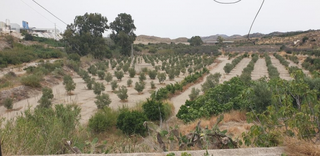 Zona de campos cercana con naturaleza
