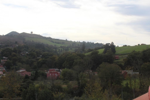 Vistas de las zonas verdes en el entorno