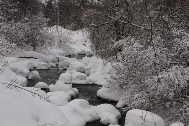 Apartamentos Canillo