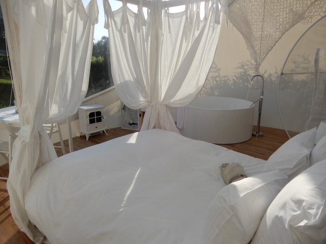 Albarari Campos Stellae- A Coruña