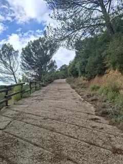 Raquel Rincón Luna  in your stay in Hotel Real Posada de Liena 6536_3