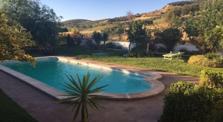 Amplia zona de piscina con jardines alrededor