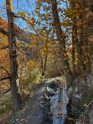 Irene VM en su estacia en Alojamientos Macabes- Roble 6599_1