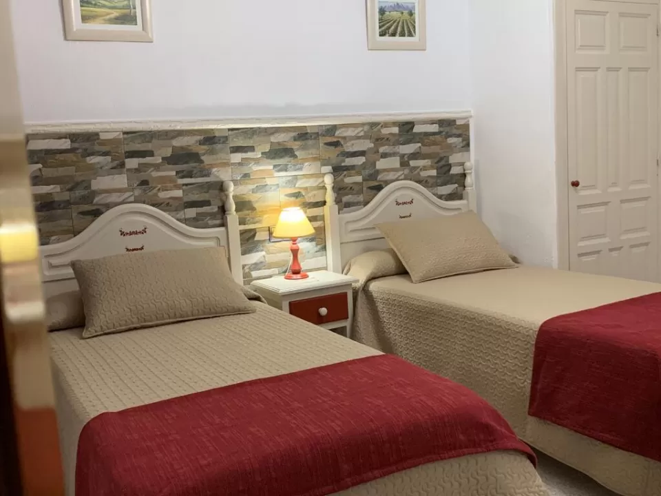 Double room with mountain view (2 beds)