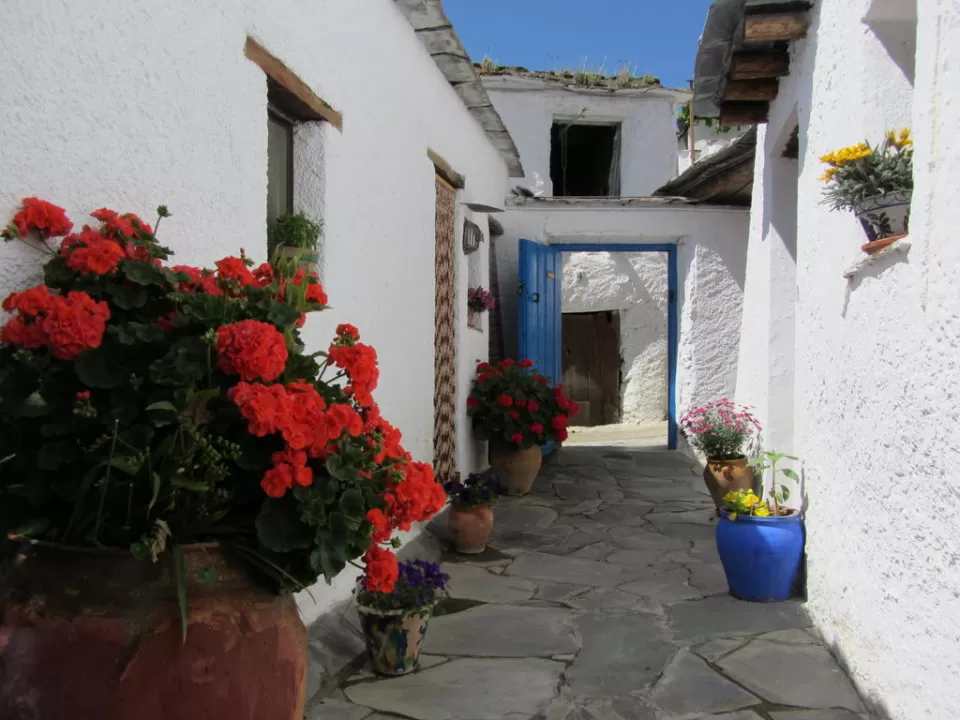 Sierra y Mar