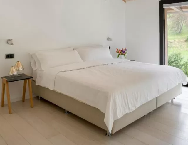 Deluxe Room - 1 Queen Bed