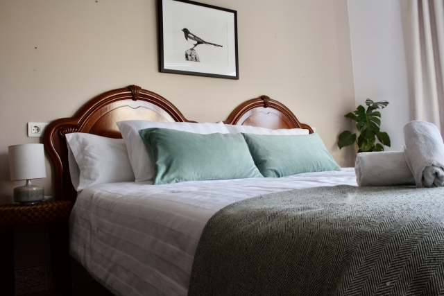 habitacion suite