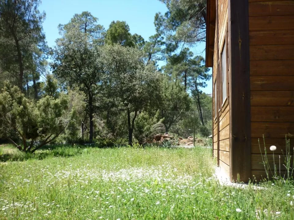 Cabaña Guazalmanco