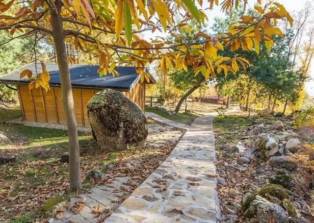 Jara Cabin