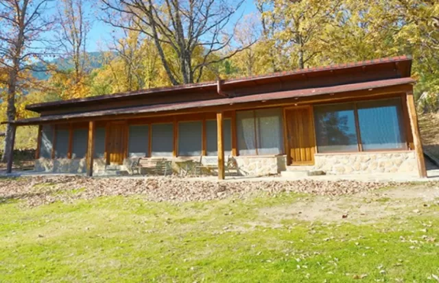 Mint Cabin