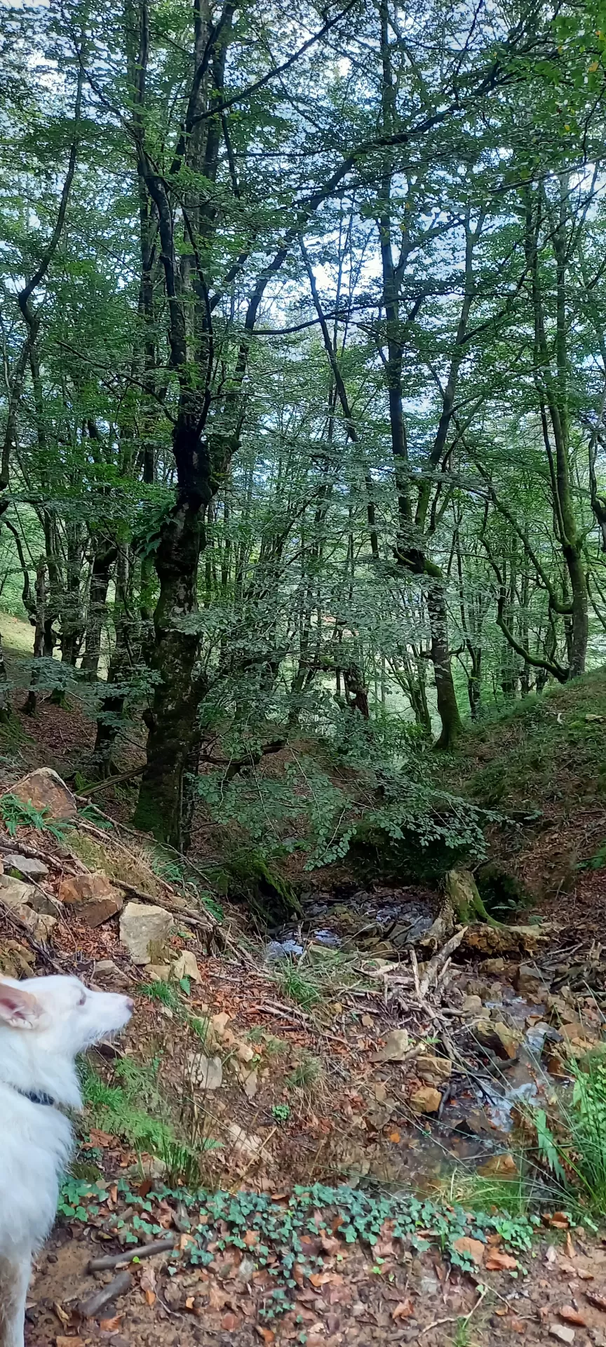 Verónica  en su estacia en Cabañas Rurales El Hayal 5343_5