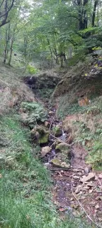 Verónica  en su estacia en Cabañas Rurales El Hayal 5343_6