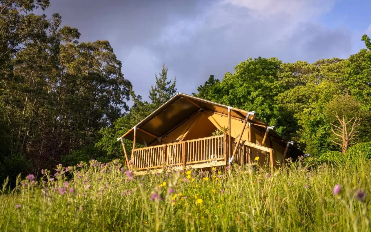 A Tenda de Naterra