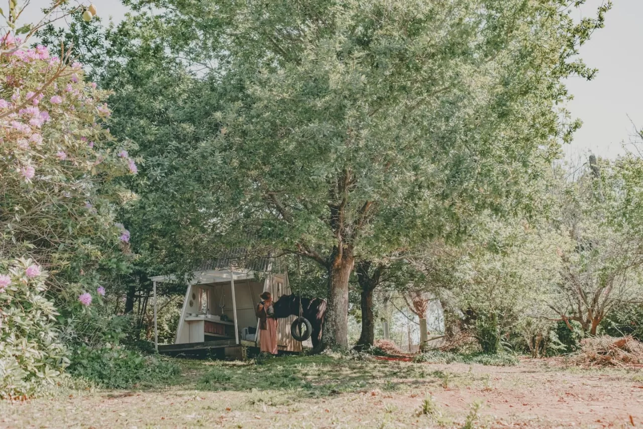 Cabaña de madera en el bosque