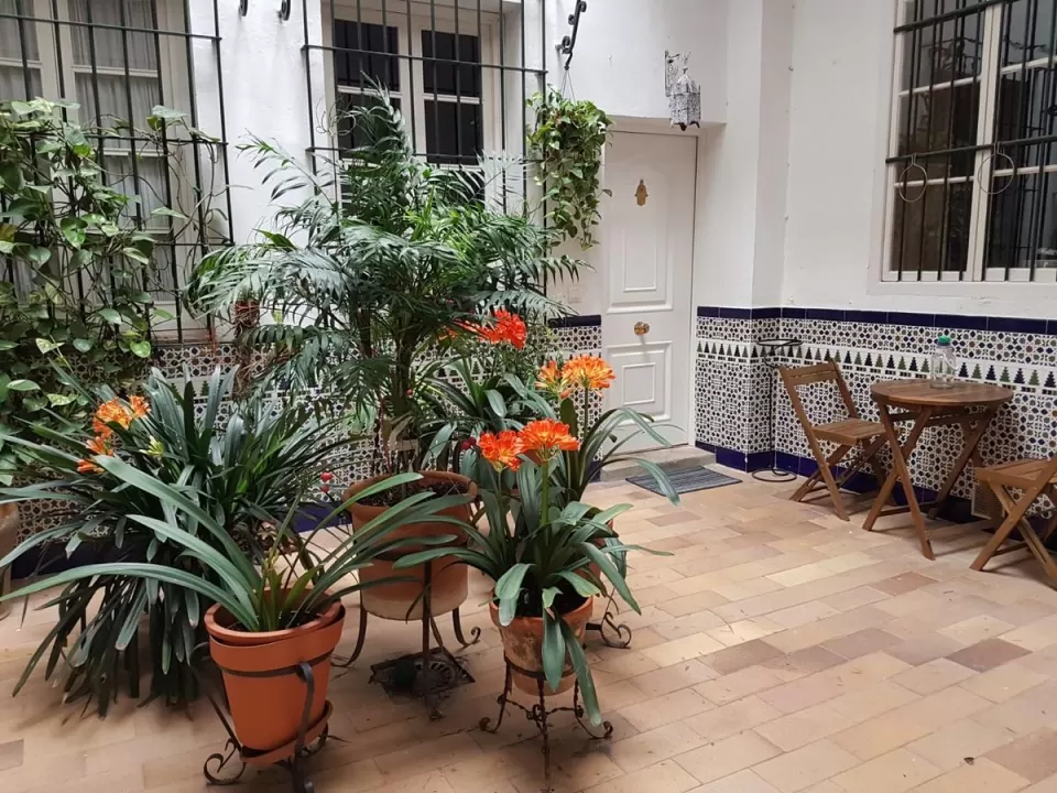 Apartamento Cruz Vieja