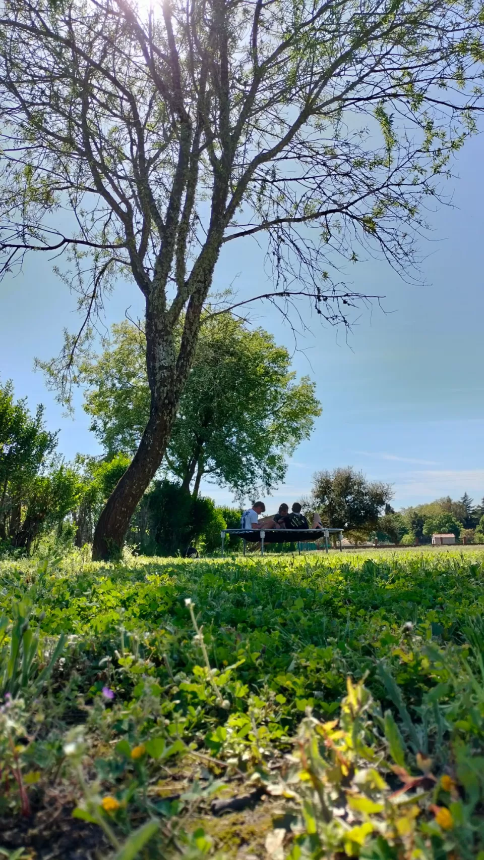 Santiago De la Guía Escudero en su estacia en Villa Viñedo 4525_3
