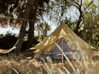 MiCielo- Tienda Romero