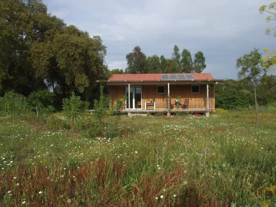 Casa Gato Verde