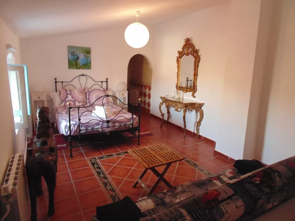 Alegria Suite