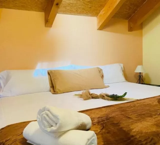 Appartement 1 chambre 6