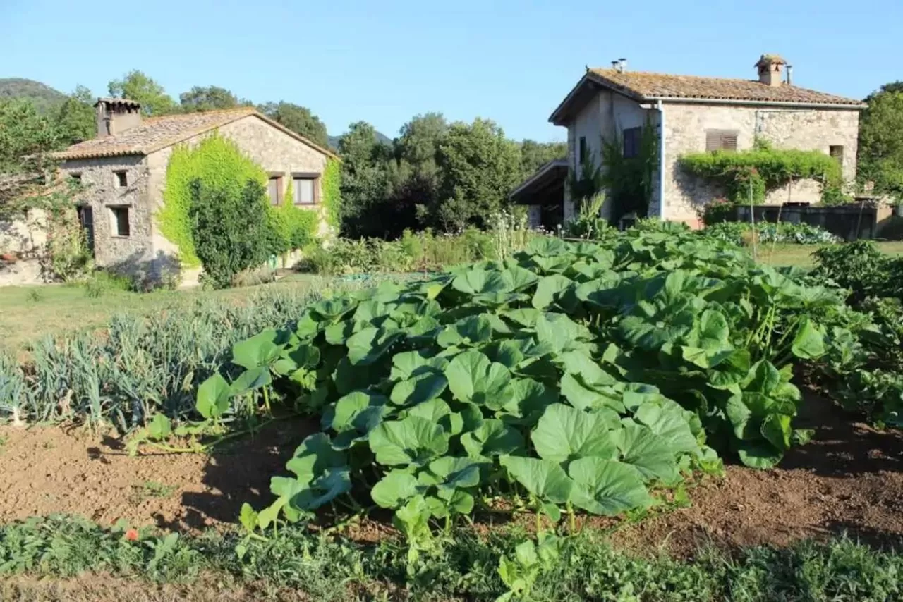 La Cabana del Trafach
