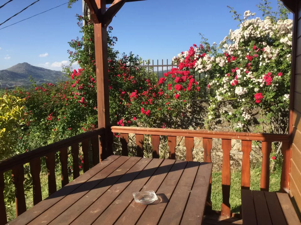 Bungalow Estándar