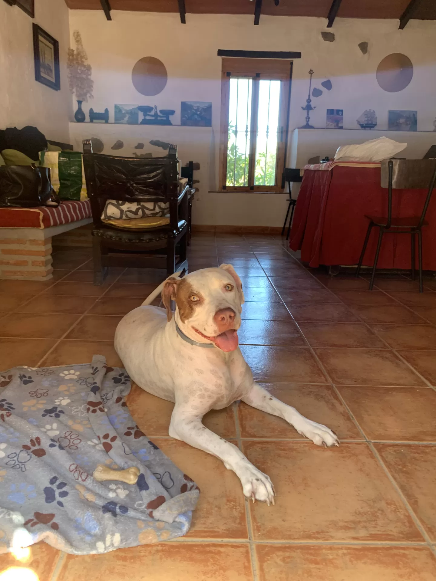 Andrea Barea Cejas en su estacia en El Molino de Santos 4094_1