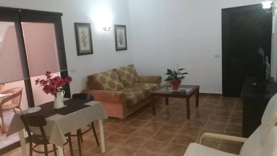 Suite 3