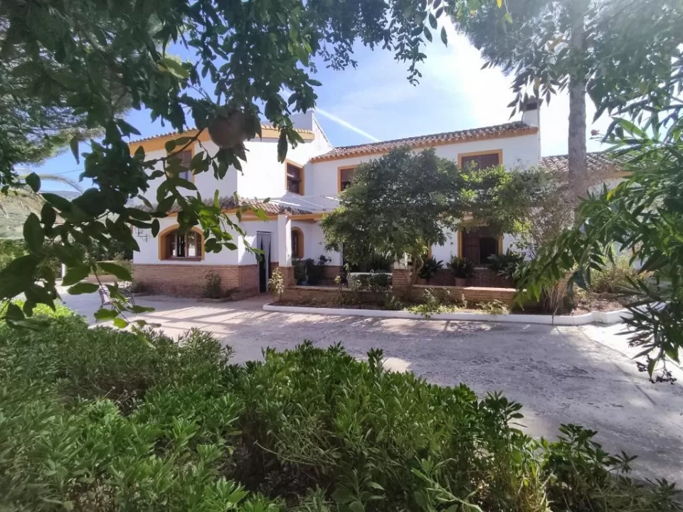 Las Paredejas del Rey